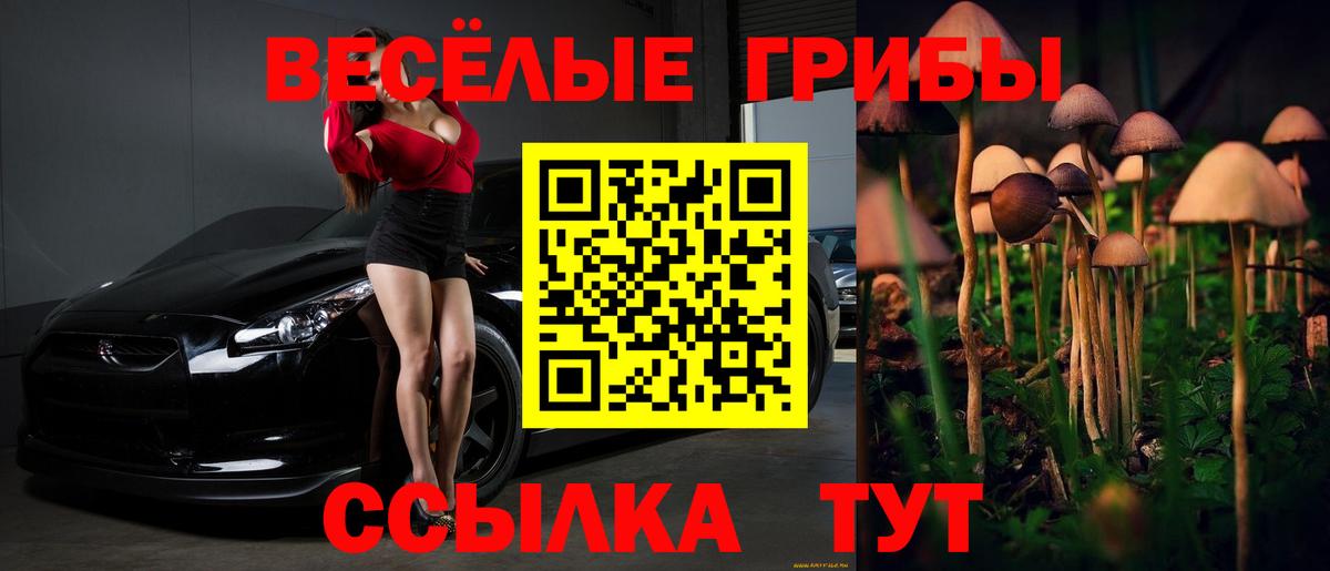 Коломна  Псилоцибиновые грибы Psilocybe  Вход с VPN 